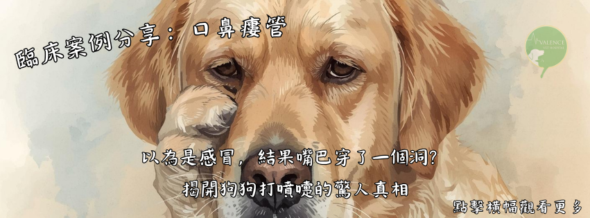 臨床案例分享：口鼻瘻管