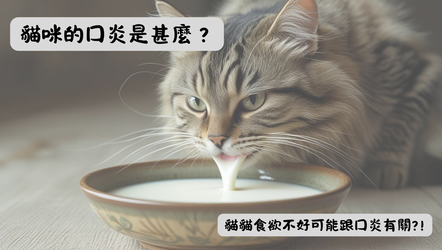 口炎 牙周治療