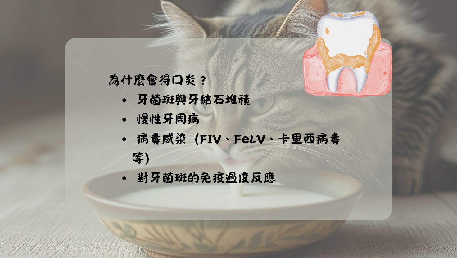 口炎 牙周治療