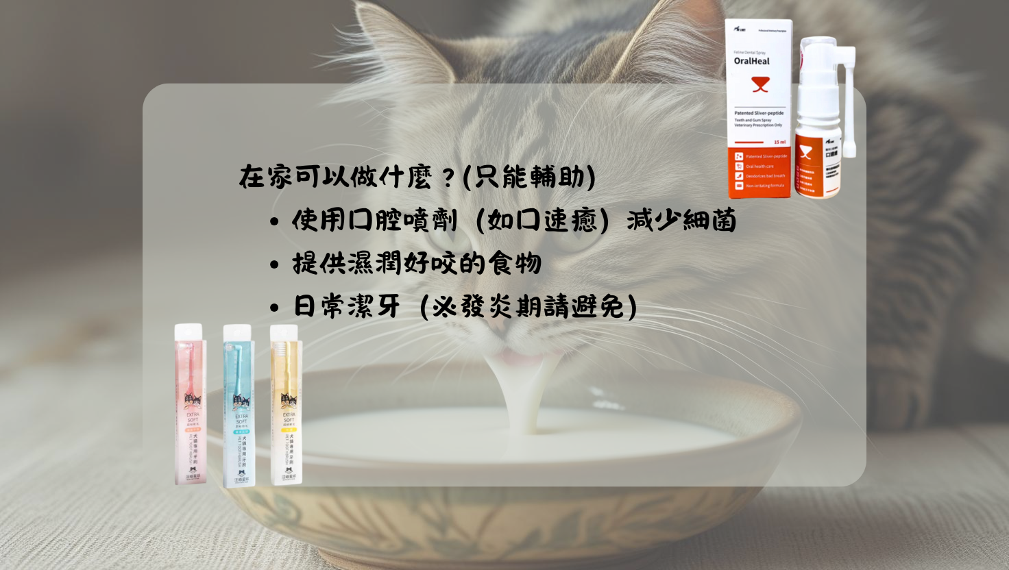 口炎 牙周治療