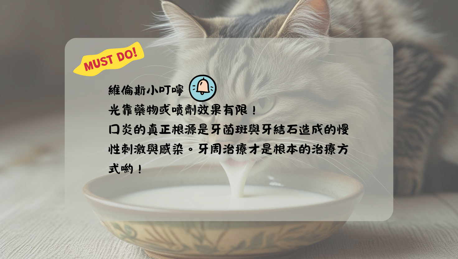 口炎 牙周治療