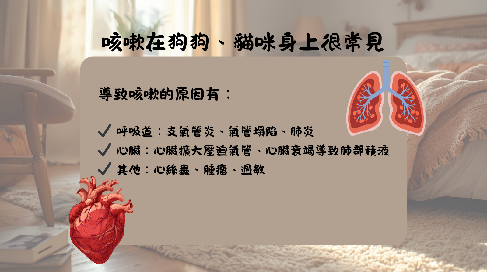 咳嗽 毛孩 心臟