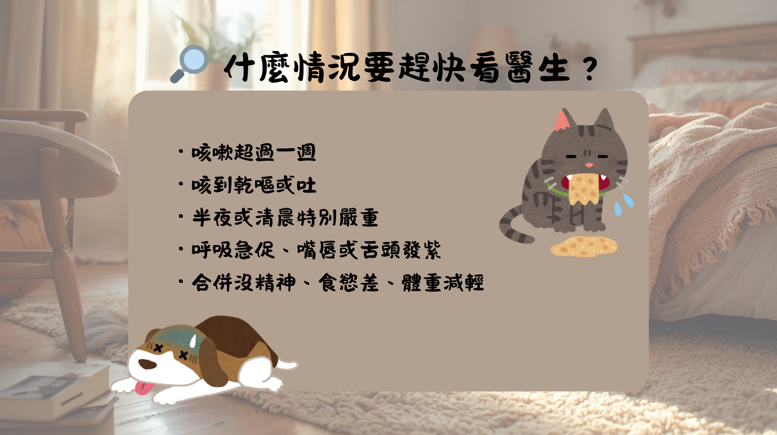 咳嗽 毛孩 心臟