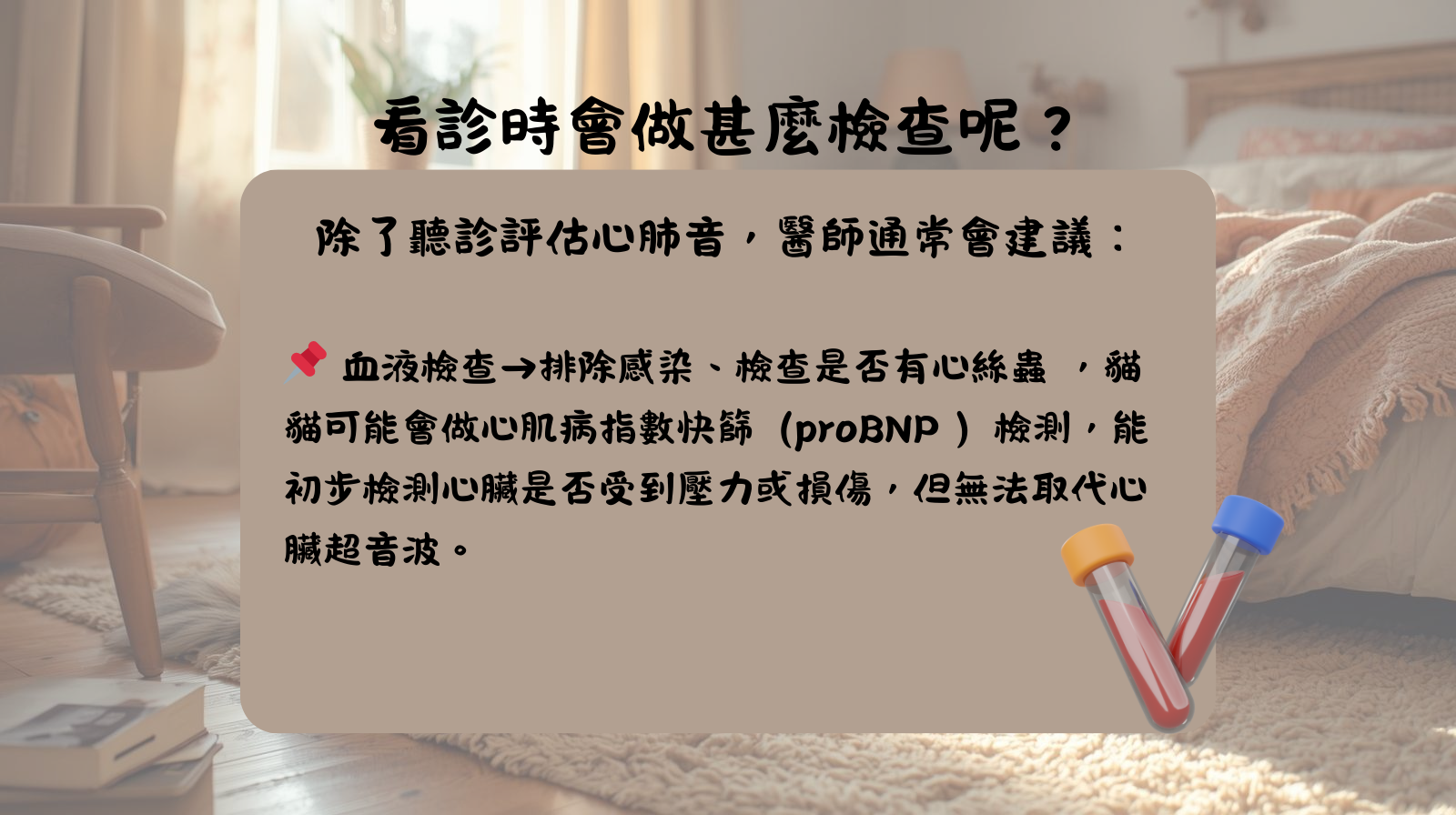 咳嗽 毛孩 心臟