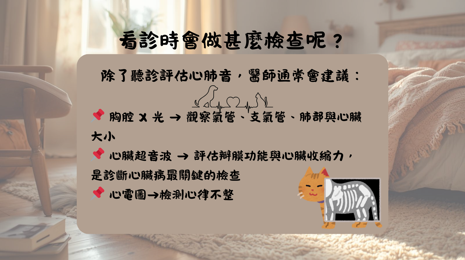 咳嗽 毛孩 心臟