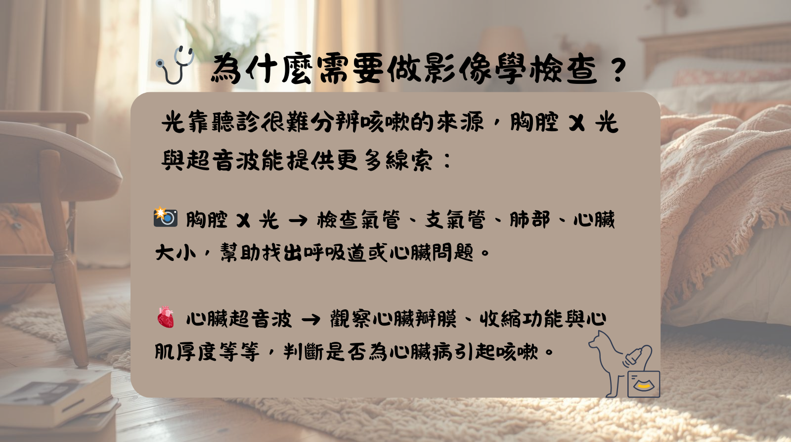咳嗽 毛孩 心臟