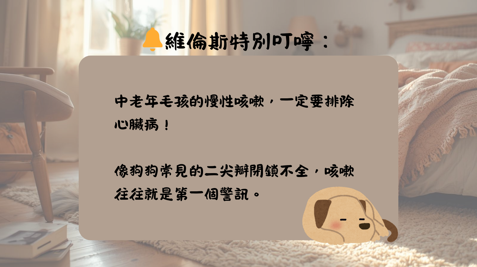 咳嗽 毛孩 心臟