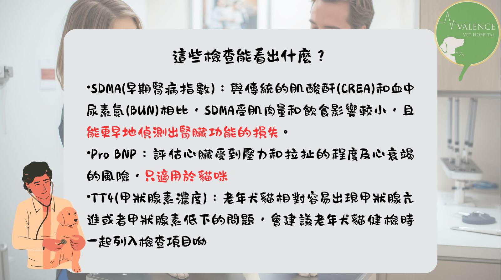 犬貓健檢 皇家 維倫斯動物醫院