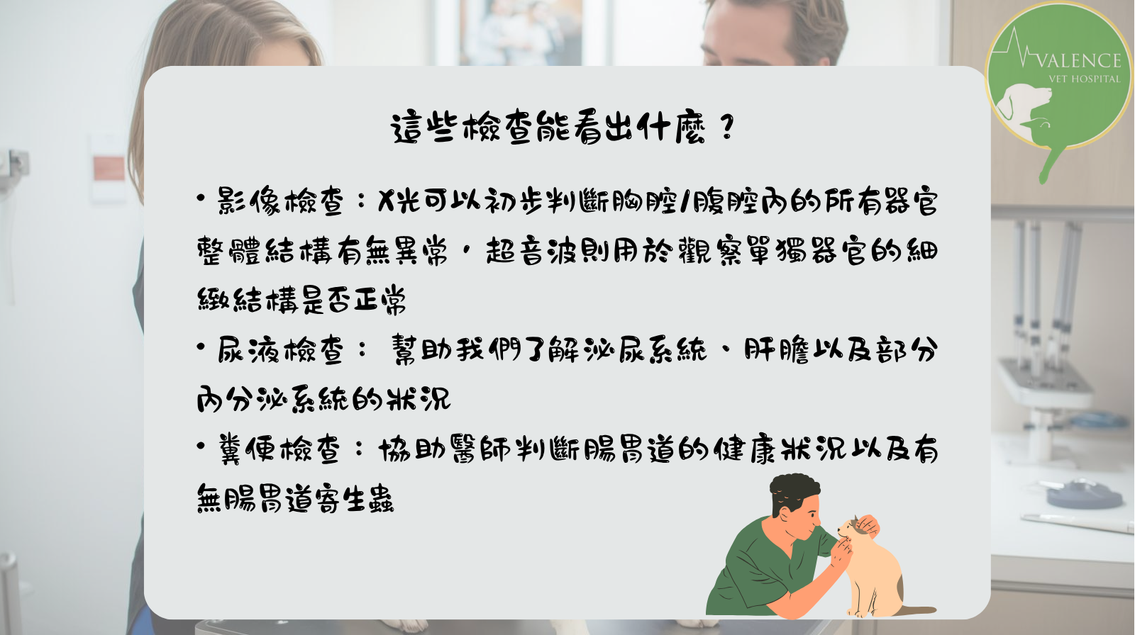 犬貓健檢 皇家 維倫斯動物醫院