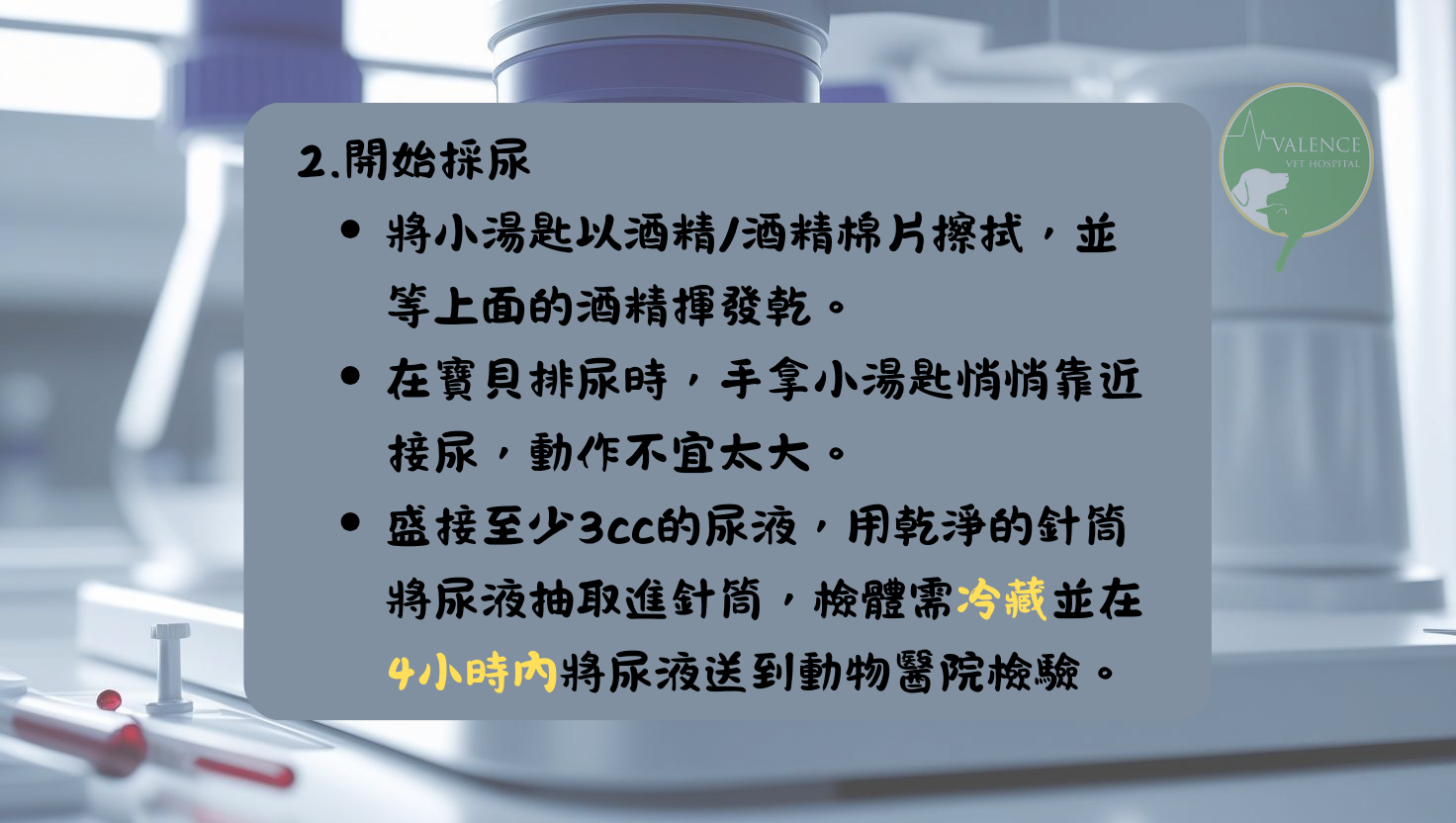 尿液檢查 貓貓 狗狗