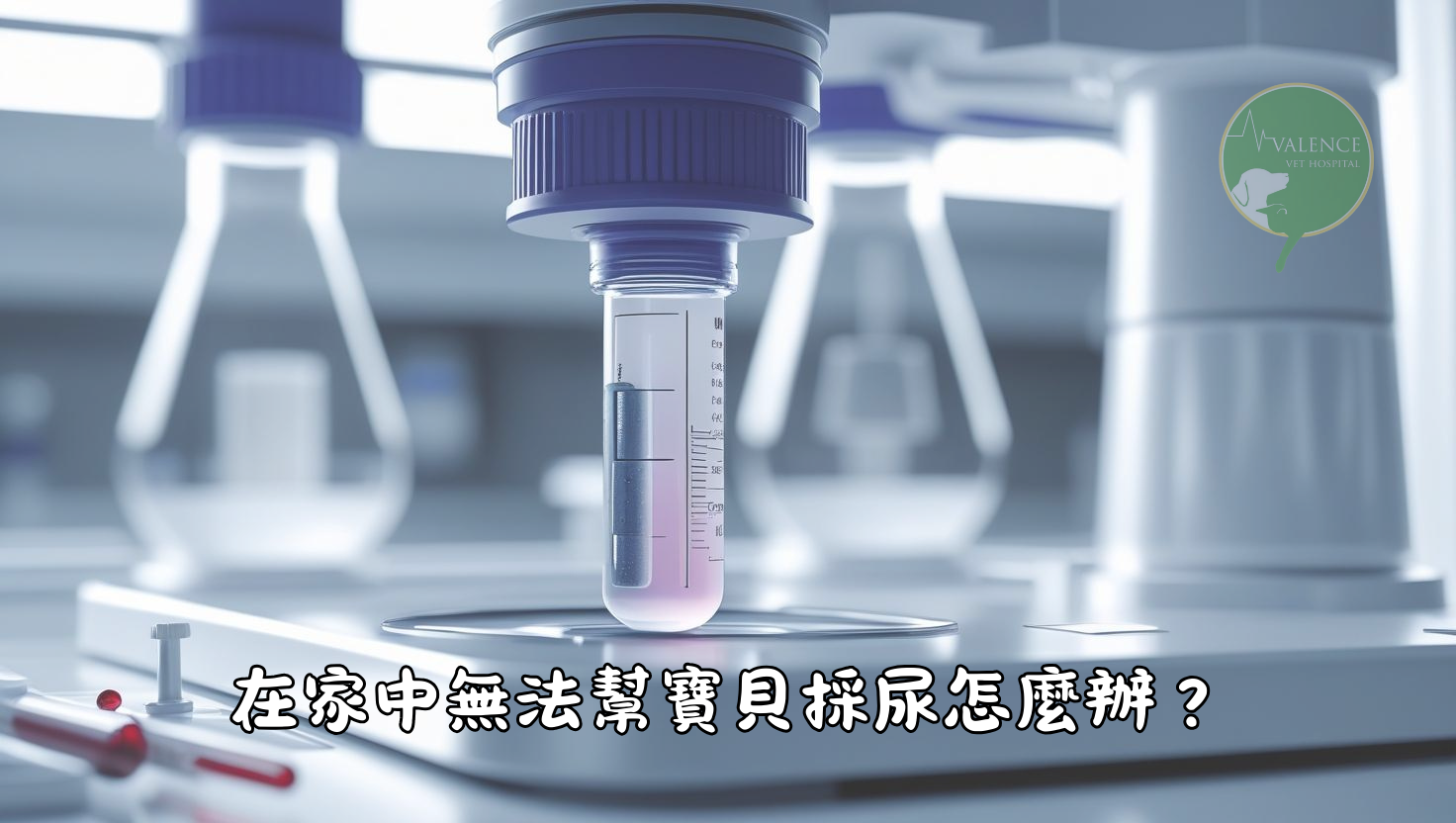 尿液檢查 貓貓 狗狗