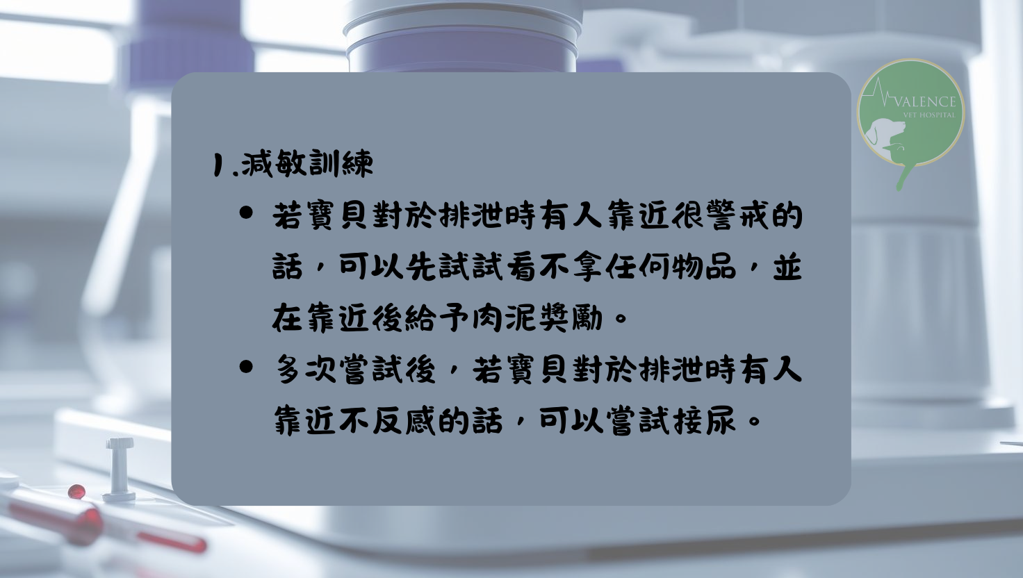 尿液檢查 貓貓 狗狗