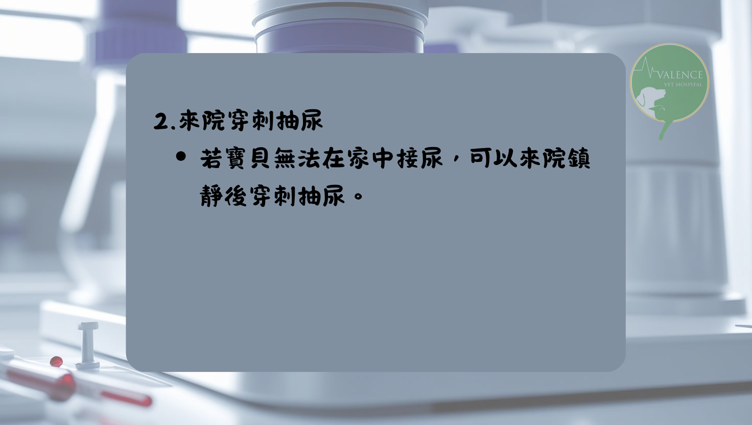 尿液檢查 貓貓 狗狗
