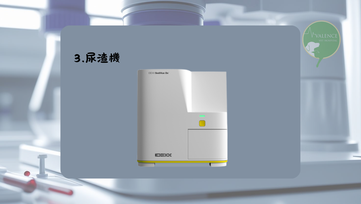 尿液檢查 貓貓 狗狗