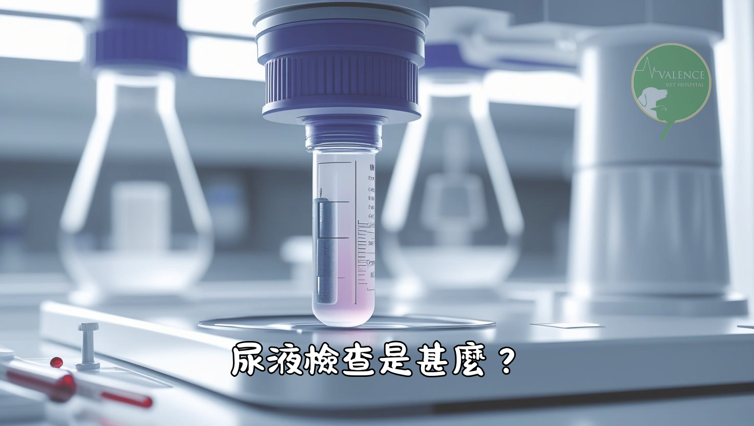 尿液檢查 貓貓 狗狗