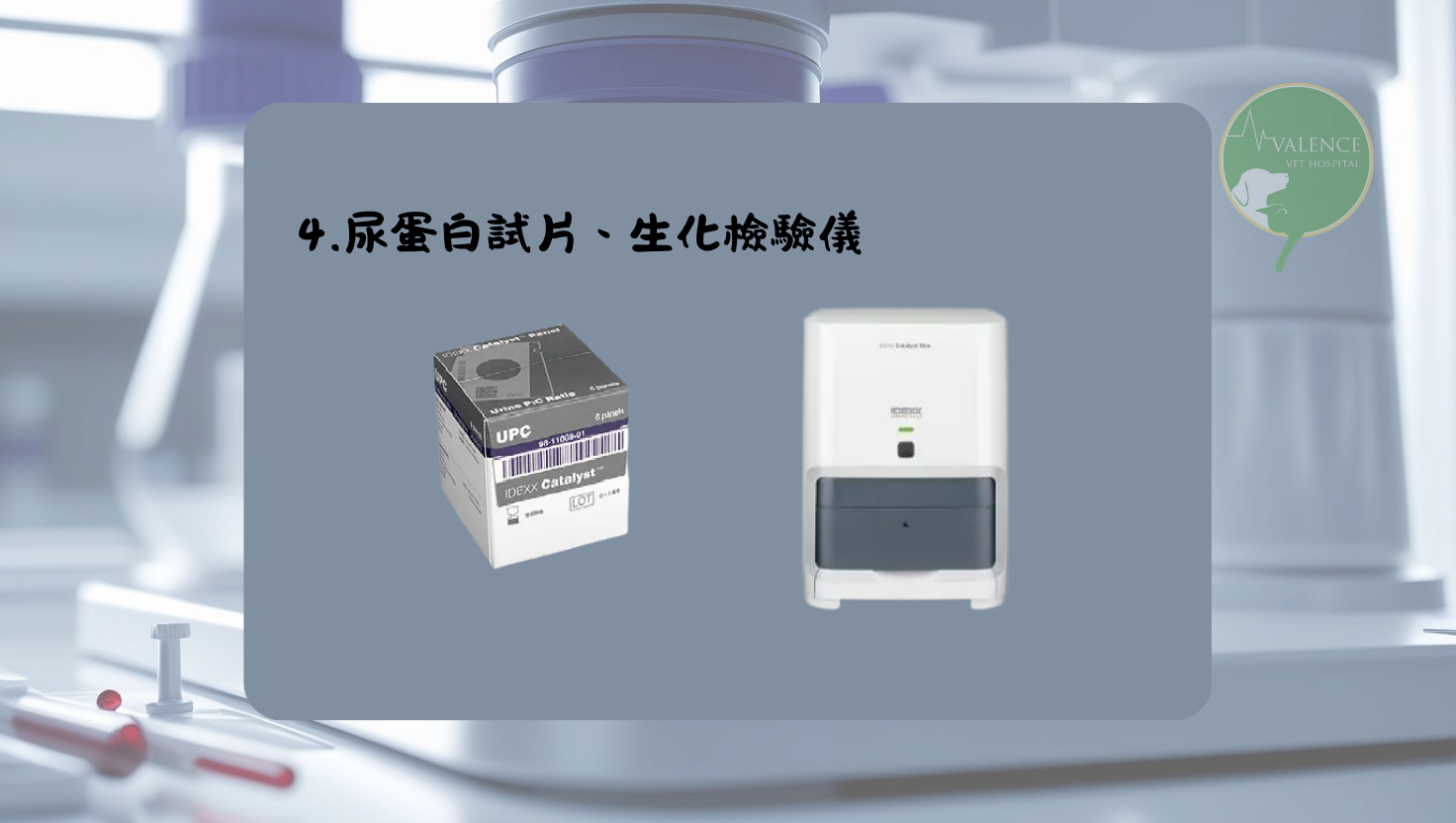 尿液檢查 貓貓 狗狗