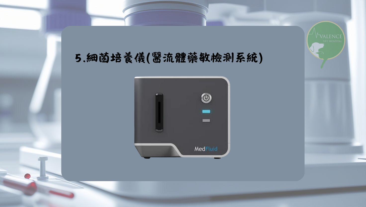 尿液檢查 貓貓 狗狗