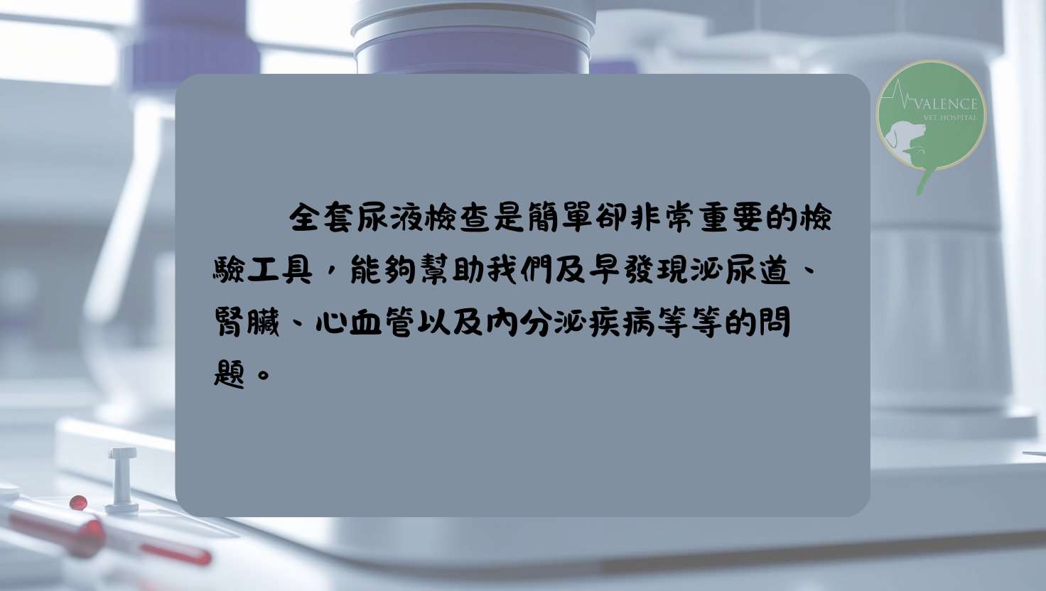 尿液檢查 貓貓 狗狗