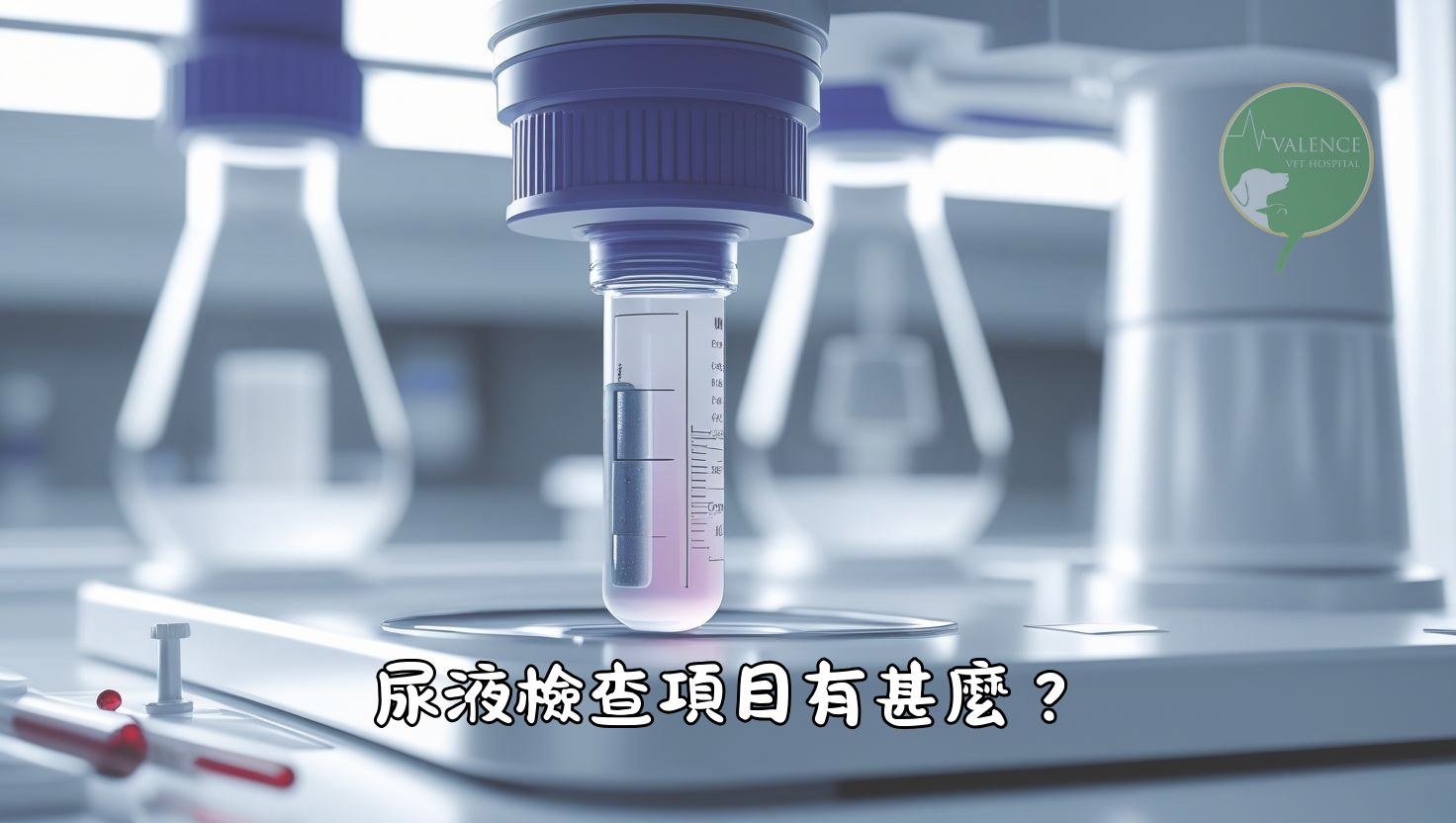 尿液檢查 貓貓 狗狗