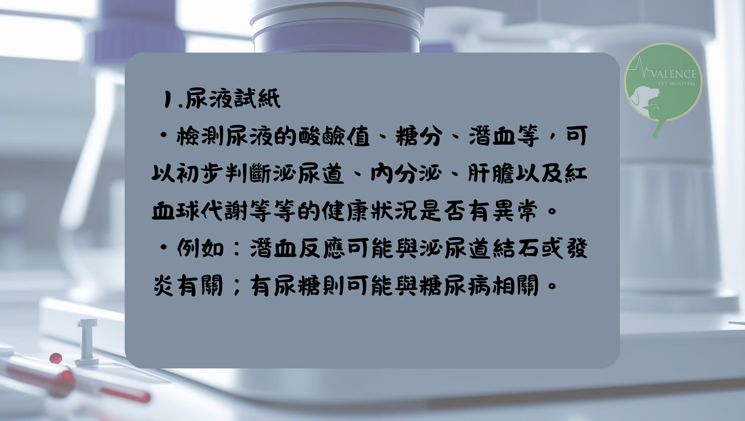 尿液檢查 貓貓 狗狗