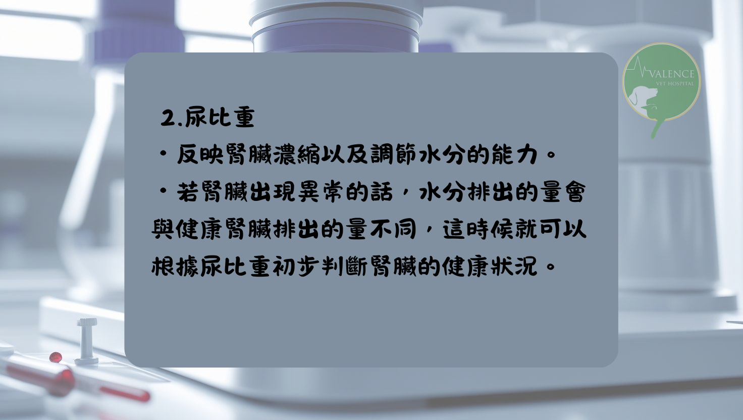 尿液檢查 貓貓 狗狗