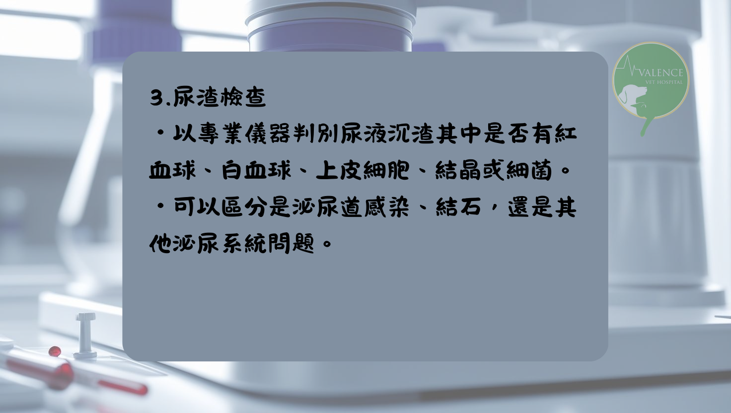尿液檢查 貓貓 狗狗