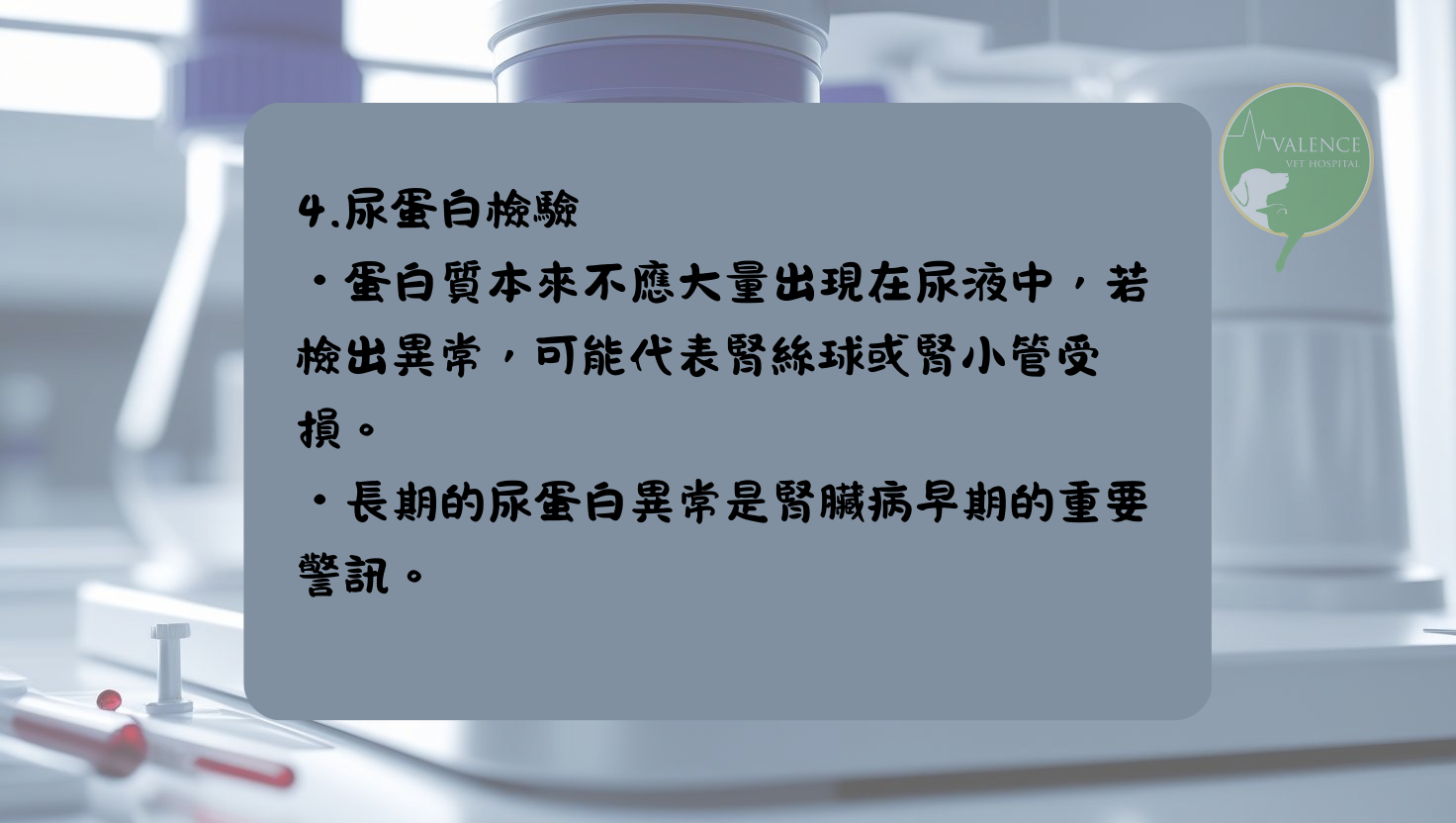 尿液檢查 貓貓 狗狗