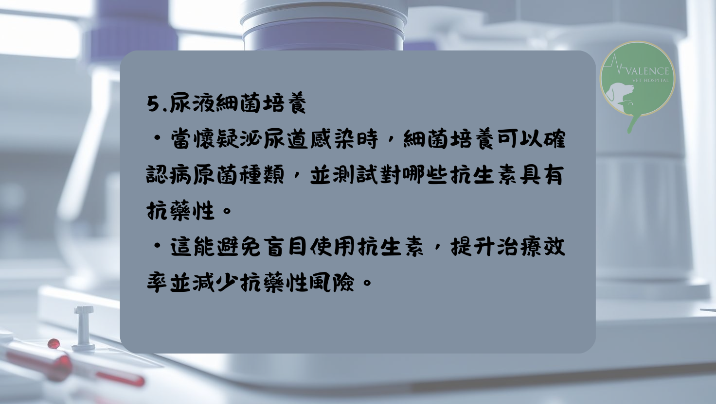 尿液檢查 貓貓 狗狗