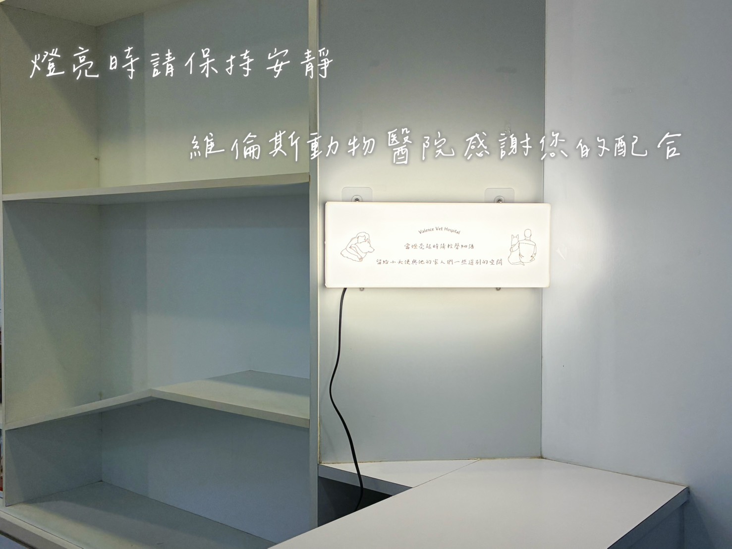 維倫斯 動物死亡 安樂死 安寧 善終 臨終關懷