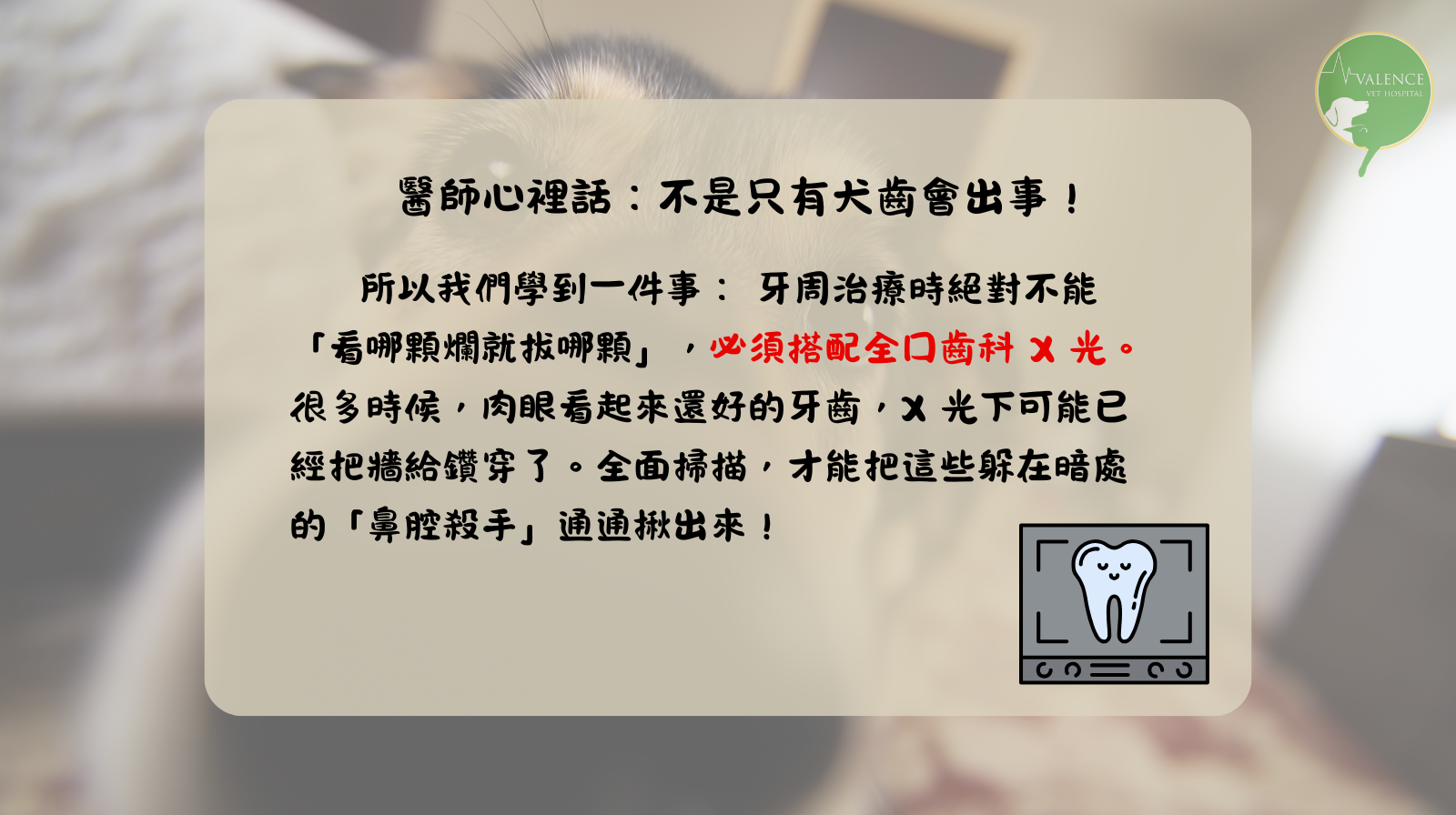 狗狗 口鼻廔管 口臭 流鼻涕