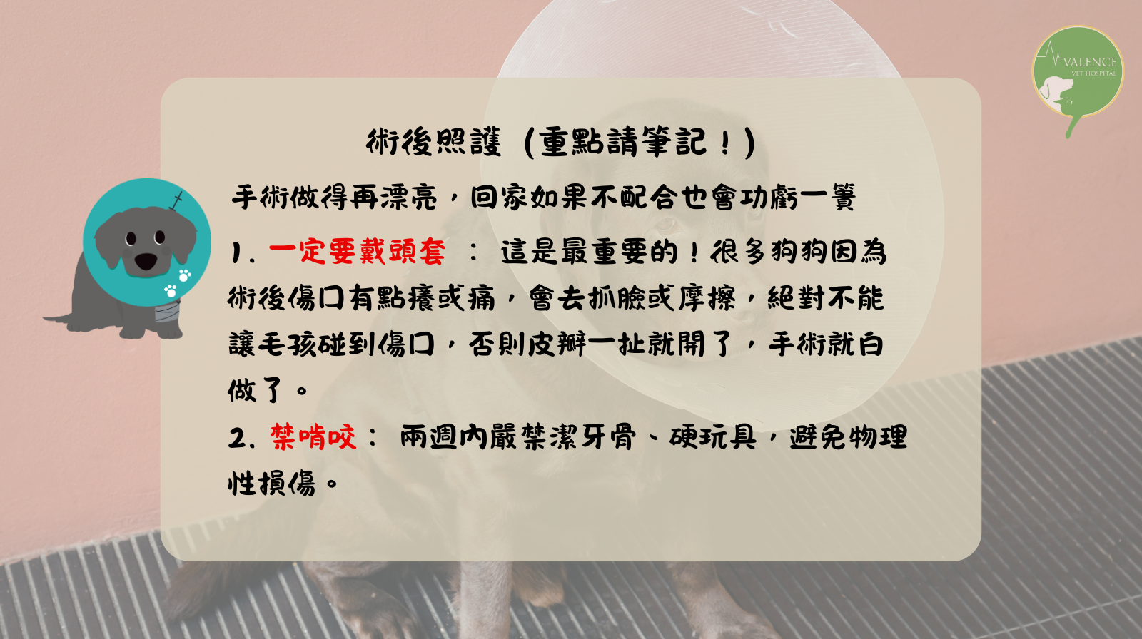 狗狗 口鼻廔管 口臭 流鼻涕