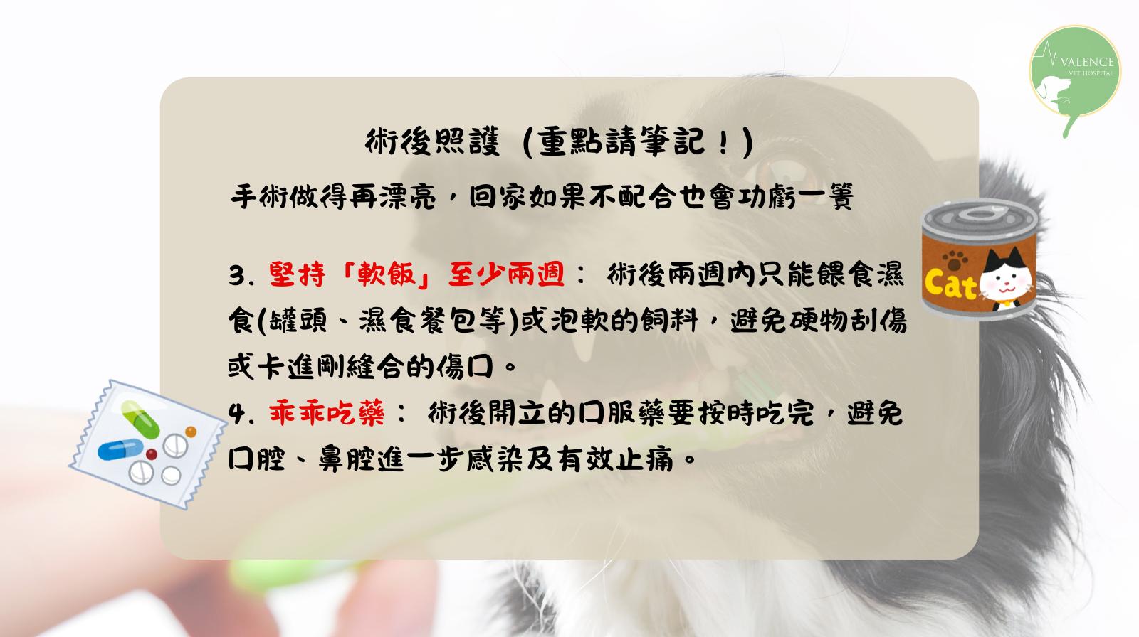 狗狗 口鼻廔管 口臭 流鼻涕