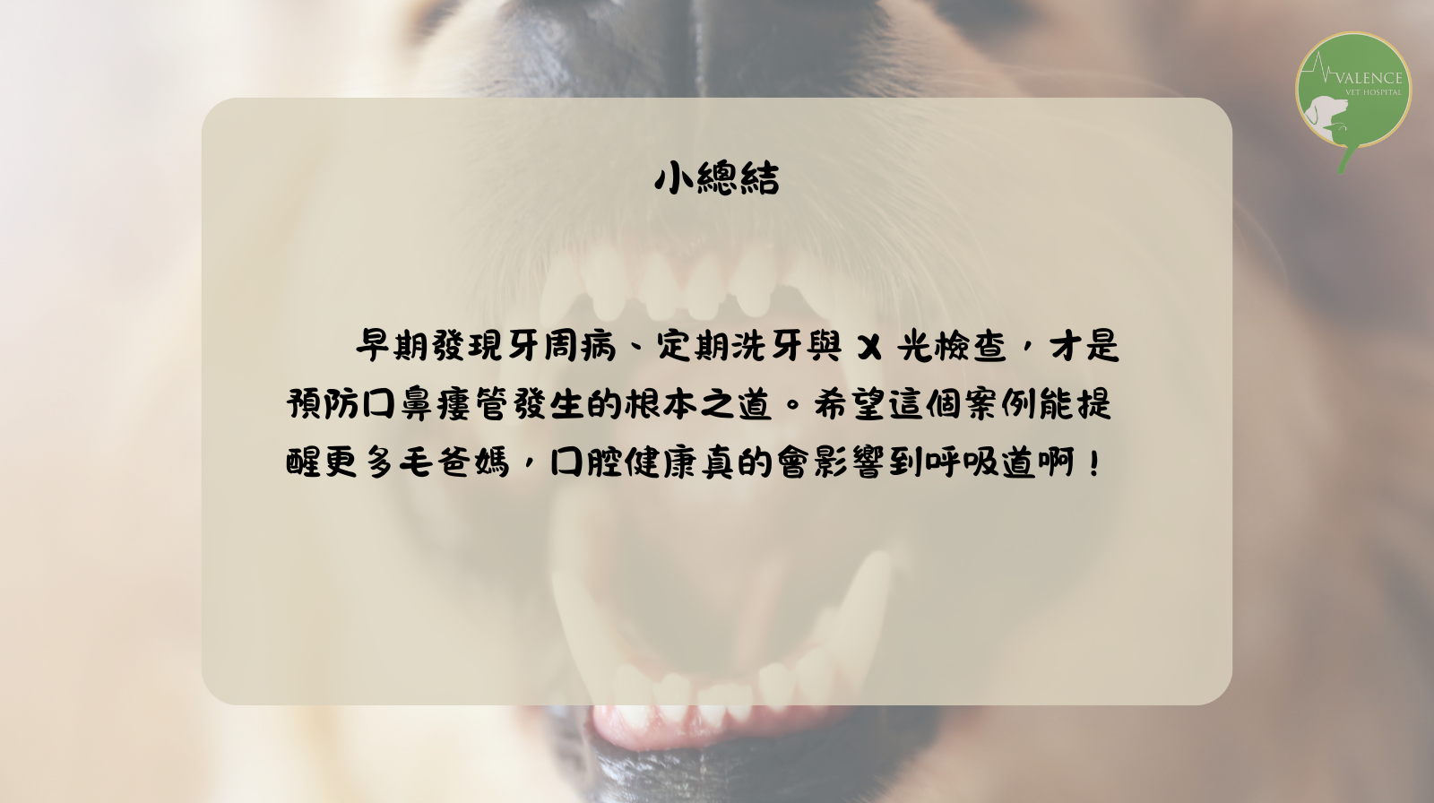 狗狗 口鼻廔管 口臭 流鼻涕