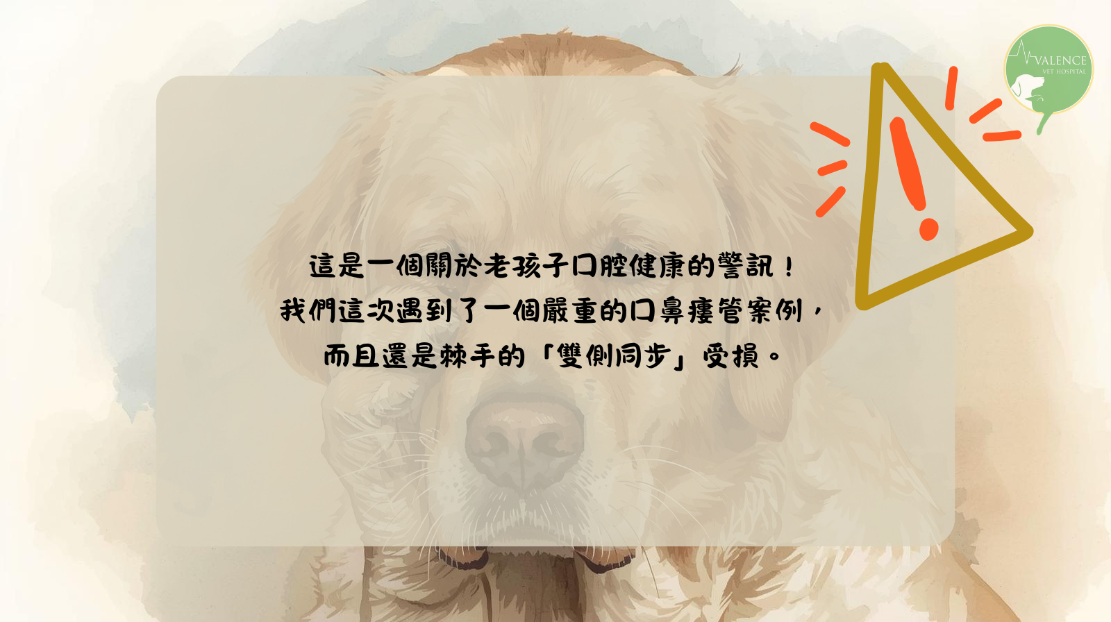 狗狗 口鼻廔管 口臭 流鼻涕