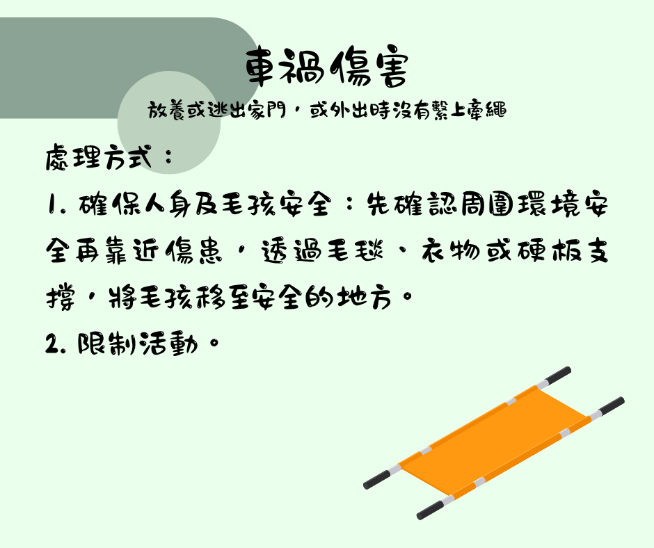 該怎麼處理毛孩傷口 維倫斯 全能毛小孩