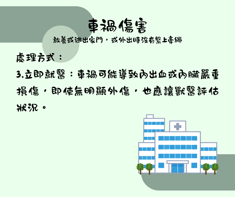 該怎麼處理毛孩傷口 維倫斯 全能毛小孩