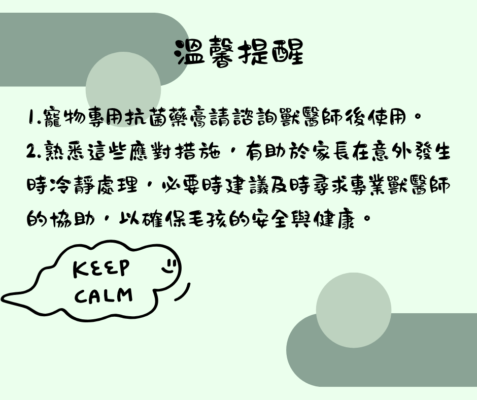 該怎麼處理毛孩傷口 維倫斯 全能毛小孩