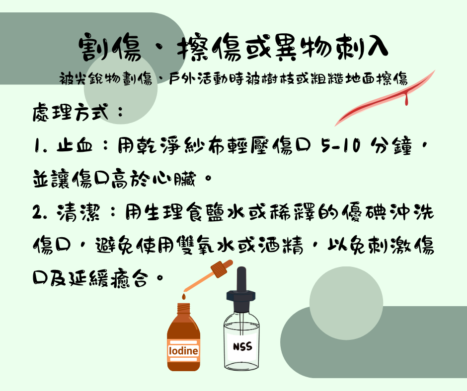 該怎麼處理毛孩傷口 維倫斯 全能毛小孩