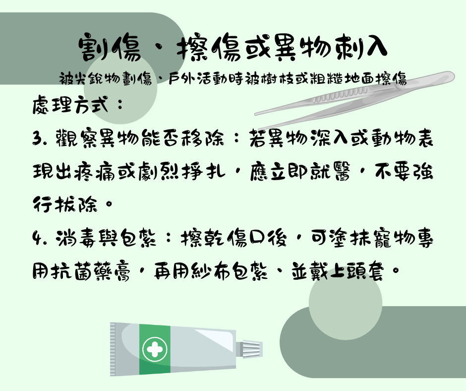 該怎麼處理毛孩傷口 維倫斯 全能毛小孩