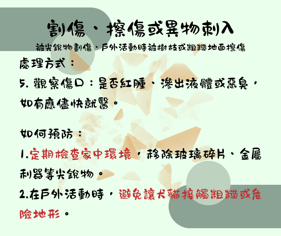 該怎麼處理毛孩傷口 維倫斯 全能毛小孩