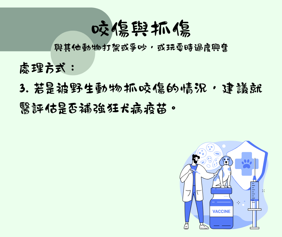該怎麼處理毛孩傷口 維倫斯 全能毛小孩
