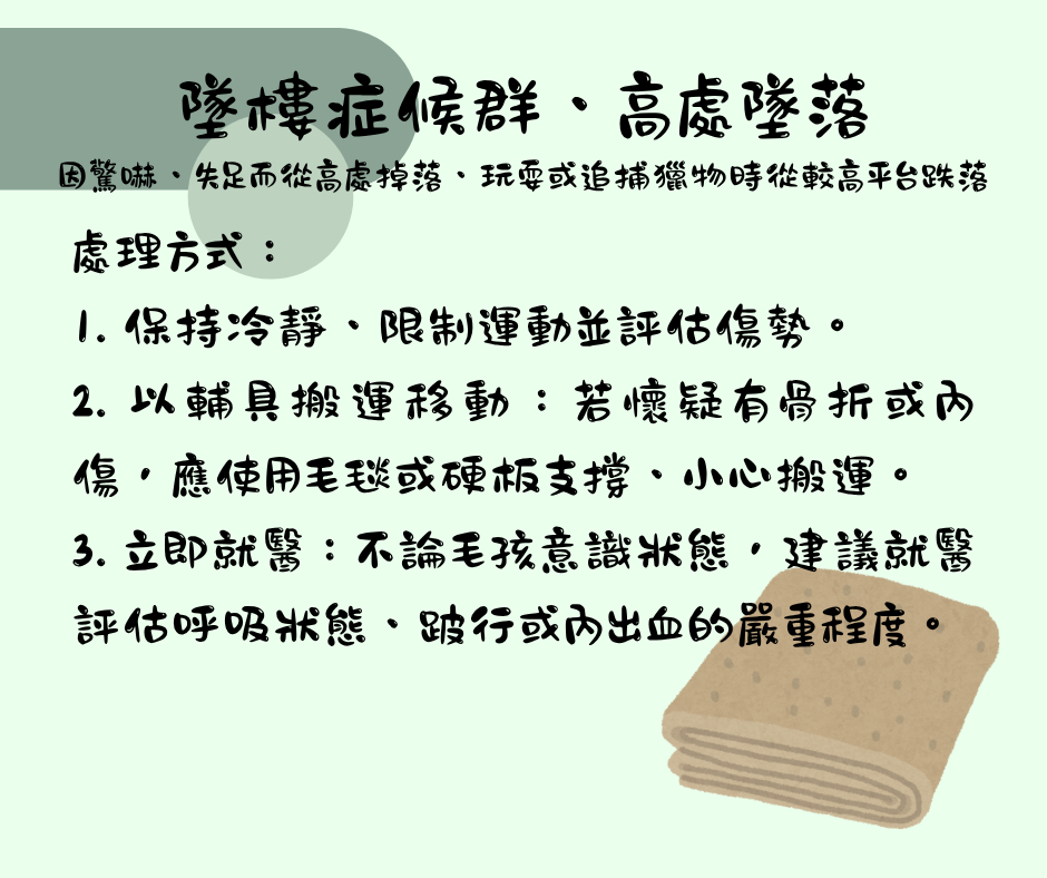 該怎麼處理毛孩傷口 維倫斯 全能毛小孩
