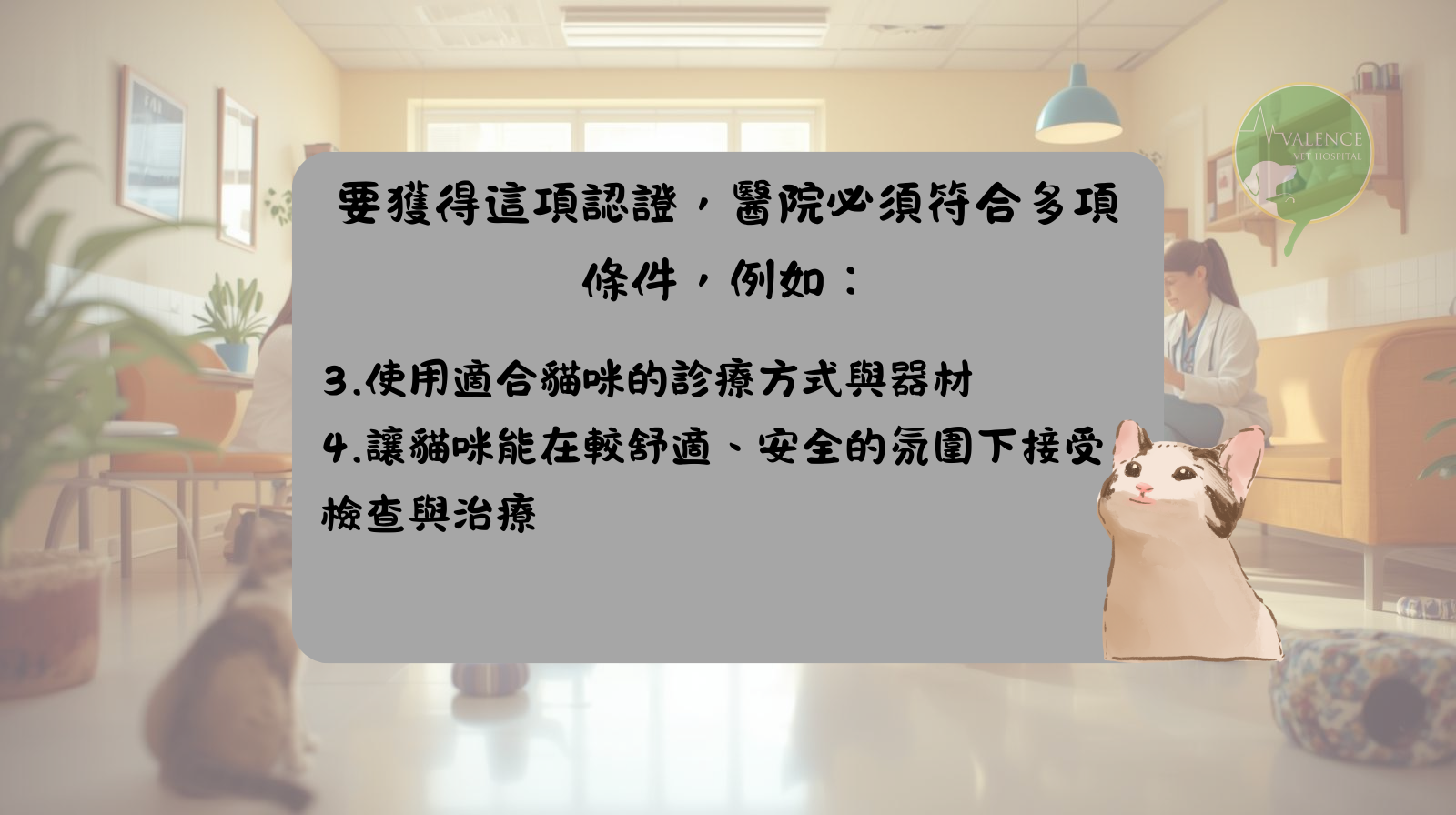 fear free 貓友善