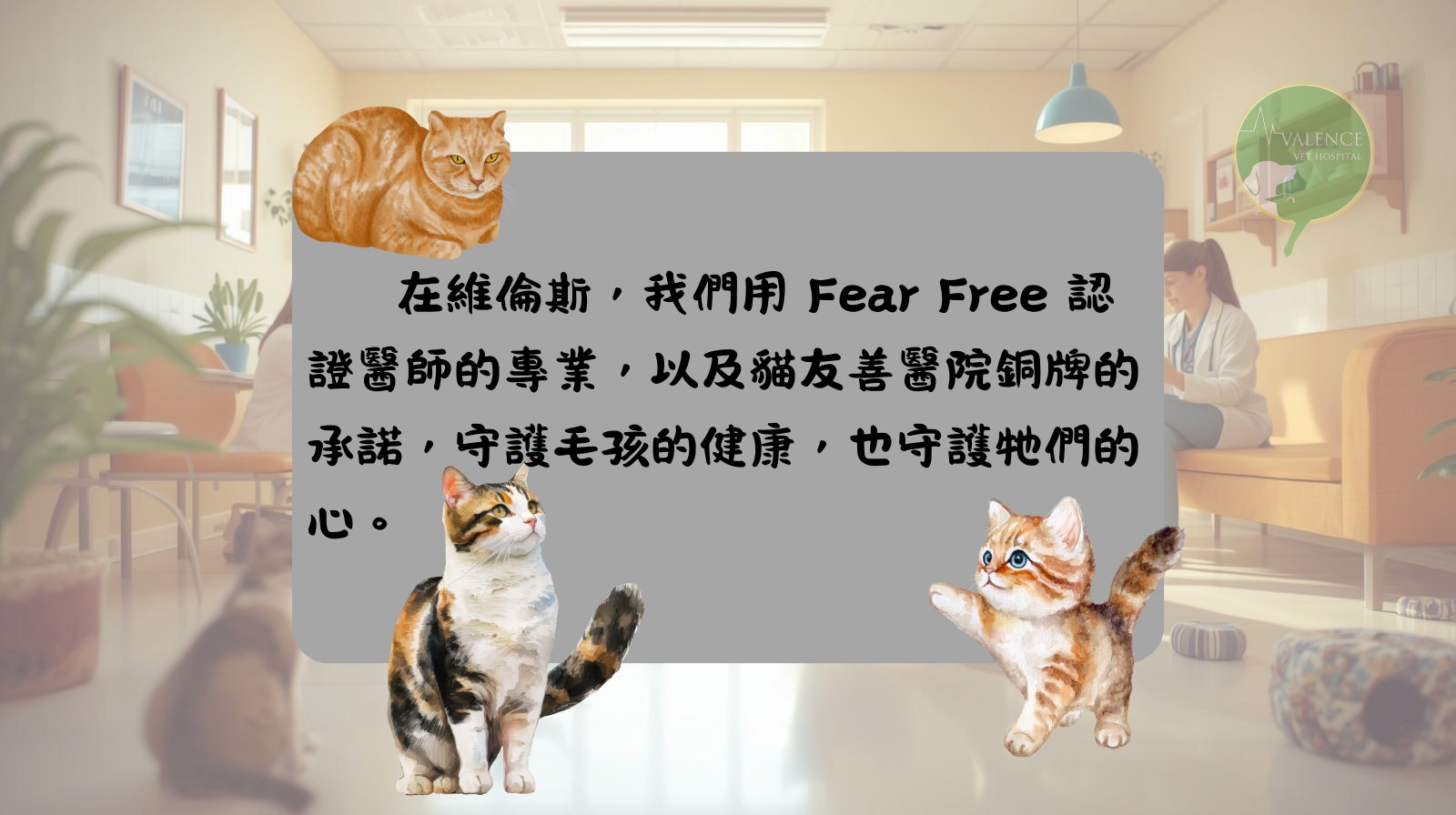 fear free 貓友善