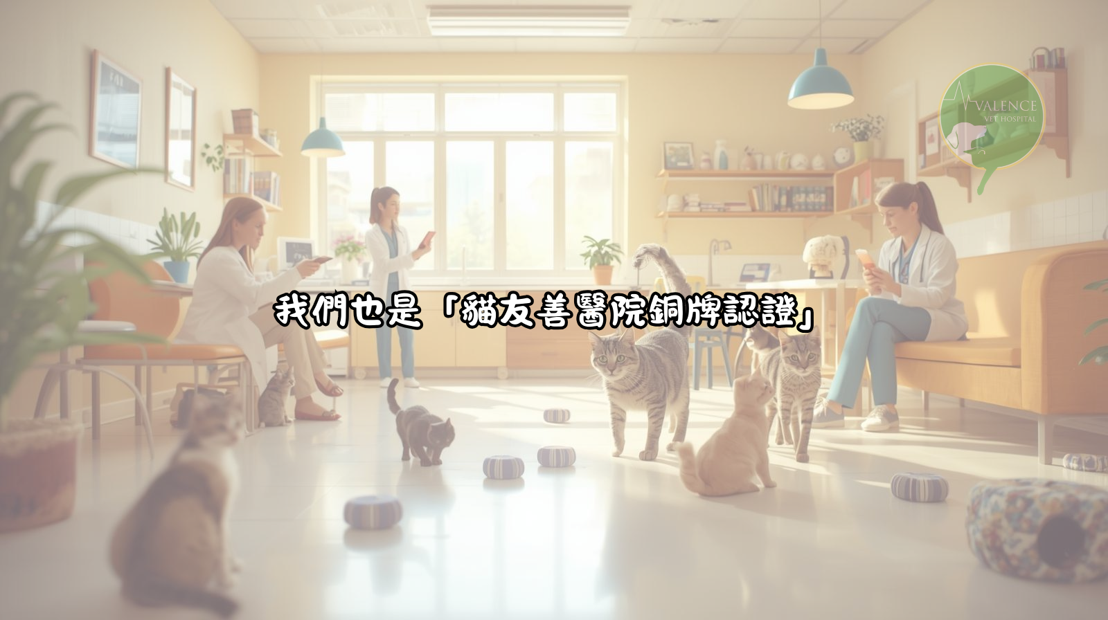 fear free 貓友善