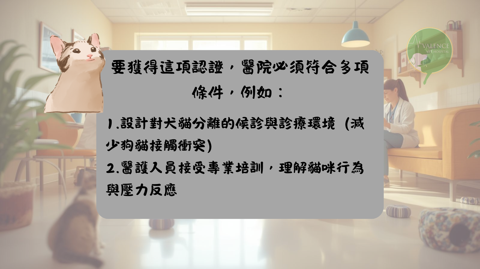 fear free 貓友善