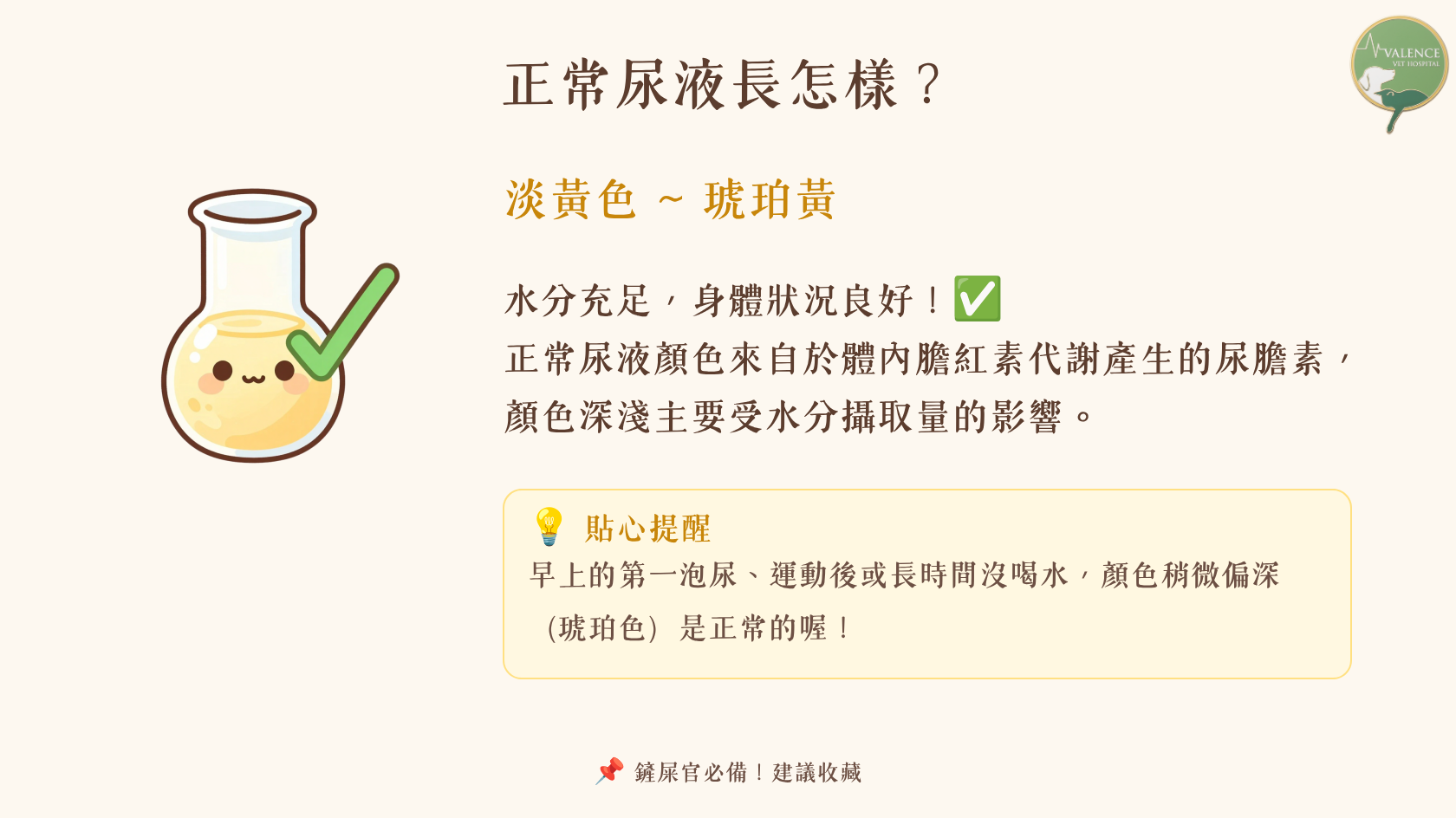 毛孩正常尿液顏色