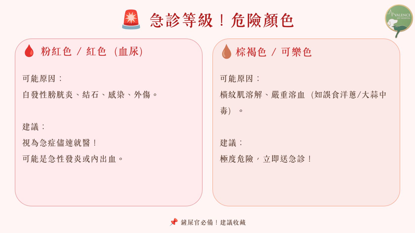 毛孩異常尿液顏色 血尿