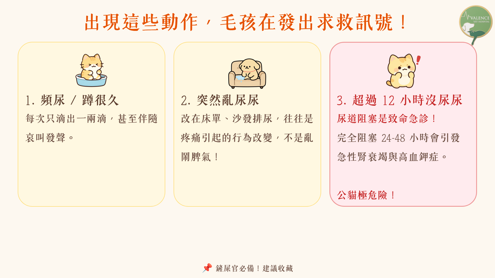 異常排尿行為與急症警訊 頻尿 亂尿尿 不尿尿